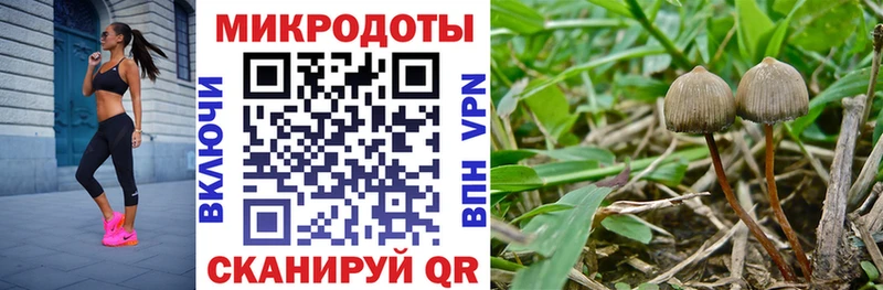 Галлюциногенные грибы GOLDEN TEACHER  Купить  Красный Холм 